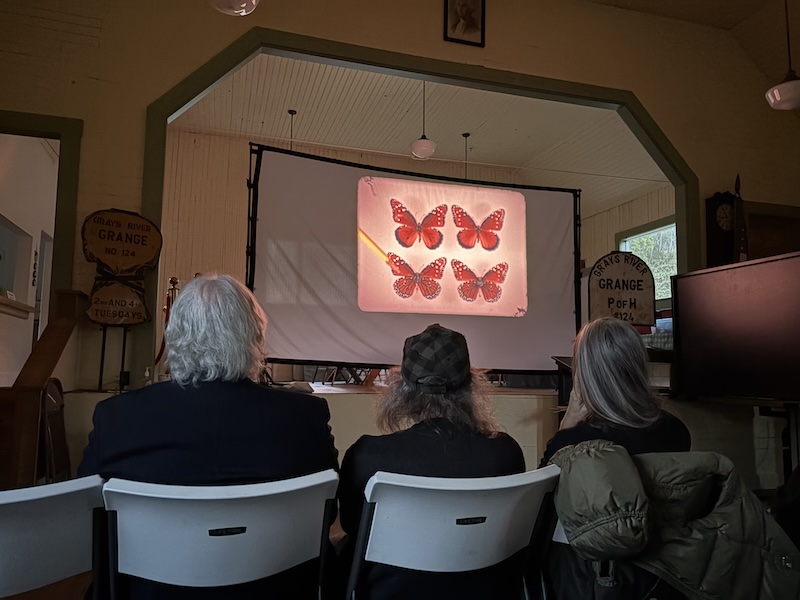 People watching film.